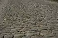 Closeup of the Koppenberg's cobblestones