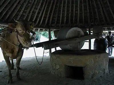 Animal-drawn millstone. Korea