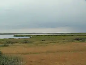 Marshes and a lake