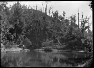 Korokoro Reservoir, 1912