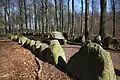 Oval or Long dolmen near Korsør