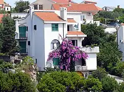 Houses in Krk