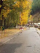 Autumn in Kullu Valley