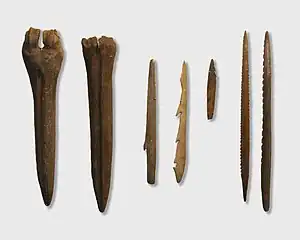 Image 9Tools made by Kunda culture, the Estonian History Museum (from History of Estonia)