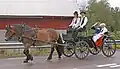 Swedish bride and groom in a victoria, 2012