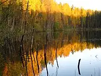 Lake Kuradijärv