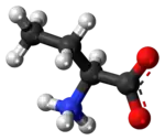 Ball-and-stick model of the α-aminobutanoic acid molecule as a zwitterion