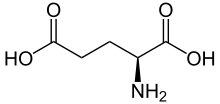 Glutamic acid in non ionic form