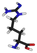 3D structure of L-arginine