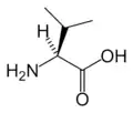 L-Valine(Val / V)