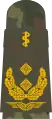 Generalstabsarzt(Luftwaffe Staff General Doctor, field uniform  mounting loop)