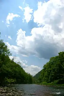 A rock-strewn stream beneath a blue sky with some white clouds. On either side steep tree-covered slopes come down to near the water's edge.