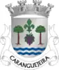 Coat of arms of Caranguejeira