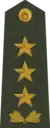 Ģenerālleitnants(Latvian Land Forces)