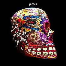 A sideways view of a skull with the album's title on the left-hand side of it