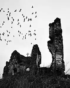 Buciuleşti  Monastery ruins