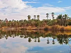 Lake Tamacine in Touggourt Province.