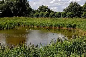 Lackford Lakes