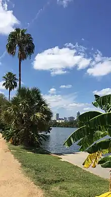 image of Lady Bird Lake with downtown Austin in the background taken from the East Riverside neighborhood in Austin.