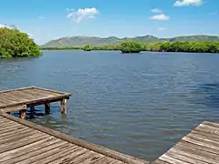 Lagoon with mangrove in Boquerón, Cabo Rojo.