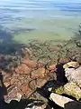 Lake Balaton near Balatonszemes