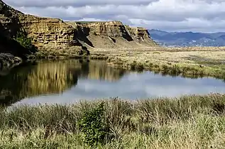 Cliffs and lagoon at Lake Ferry