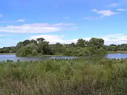 Lake Lorne seen from the shoreline