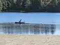 Trout fishing at Great Hollow Lake