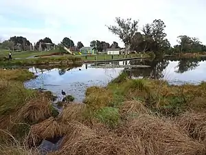 Lake Rotokaeo and Minogue Park playground in 2017