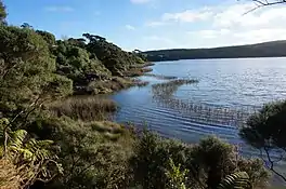 Lake Rototoa