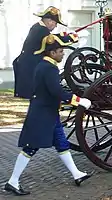 Royal Footmen at The Hague, Netherlands, in 2010.