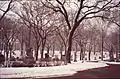 Lakewood Cemetery in Winter