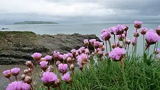 Lambay from the Donabate Portrane Cliff Walk