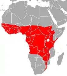 Sub-Saharan Africa