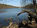 Obersee in Lanke