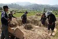 Lanten people harvesting