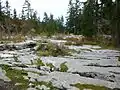 karst near the Gouffre Berger.