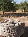 Olive press at Khirbet Malkat-ha