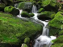 A small cascade in the Las Trampas Regional Wilderness