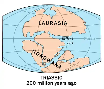 Godwana supercontinent