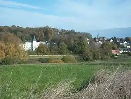 A general view of Lavardin, with the chateau