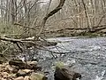 Lawrence Brook in South Brunswick