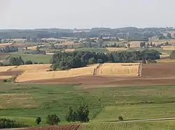 Fields near Lazdijai