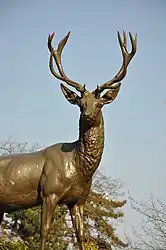 "Le cerf du Vésinet"