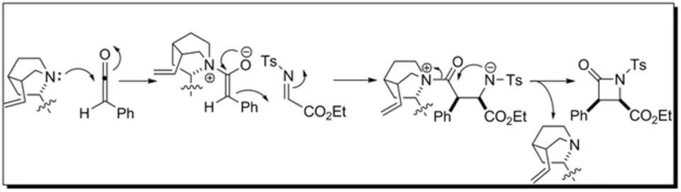 Mechanism of lactam formation