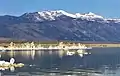 Lee Vining Peak (centered) seen from Mono Lake. Mount Warren to right.