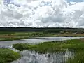 The view from Grisedale hide