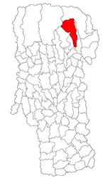 Location in Argeș County