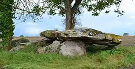 The Pierre couverte du Mousseau dolmen in Les Ulmes