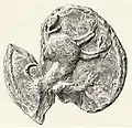 Seal of Leo II of Galicia, fourteenth century